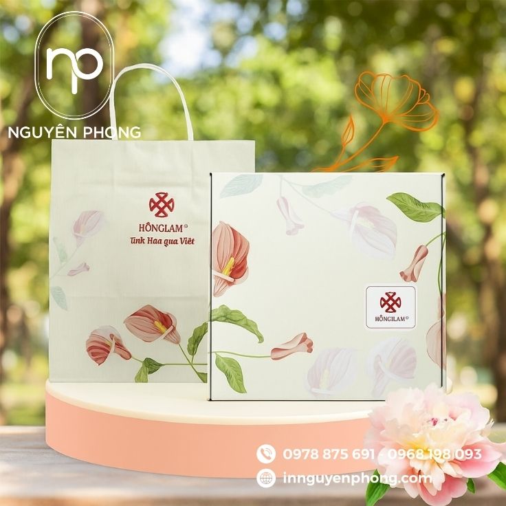 Mẫu túi giấy đựng ô mai thanh nhã 